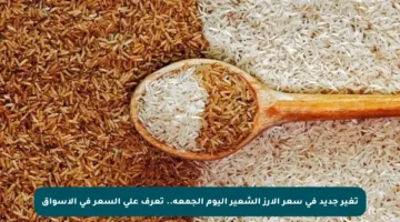 تغير جديد في سعر الأرز الشعير اليوم الجمعة.. تعرف على السعر في الأسواق